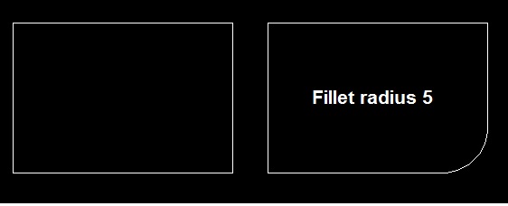 fillet practical