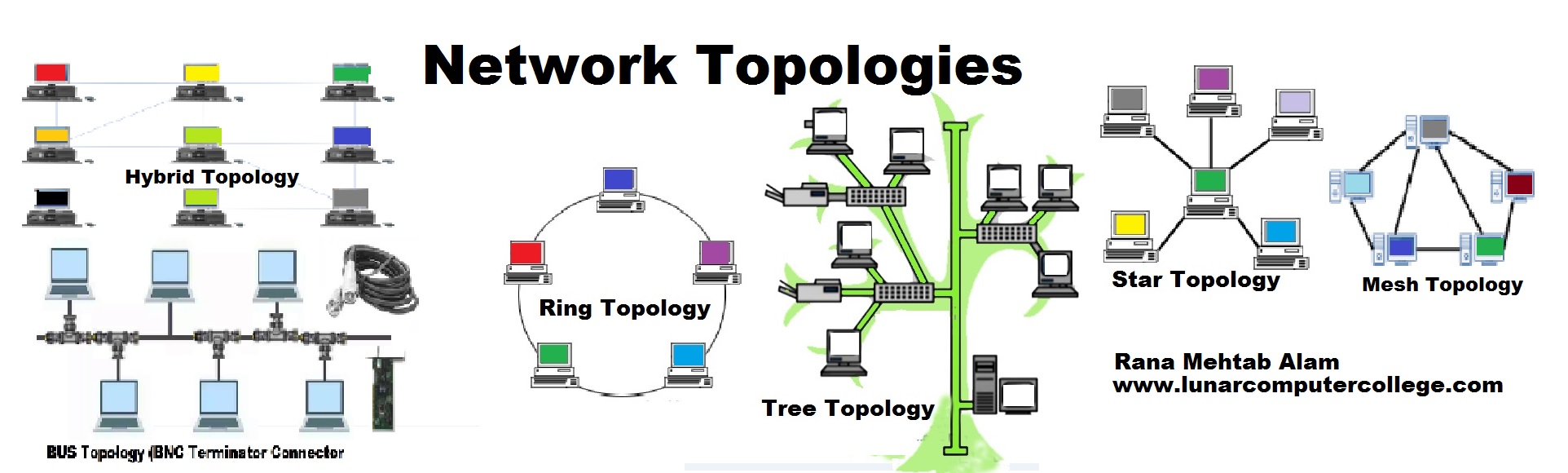 Networking Models - Difference between Bus Topology or Ring Topology :- |  Facebook