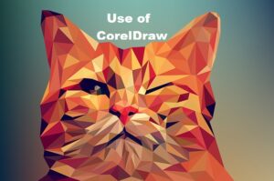 Read more about the article What Are The Uses Of CorelDraw?
