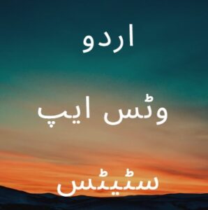 Read more about the article Best Quotes In Urdu For WhatsApp Status