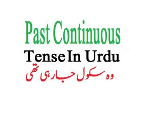Read more about the article Past Continuous Tense In Urdu