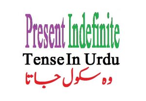 Read more about the article Present Indefinite Tense In Urdu