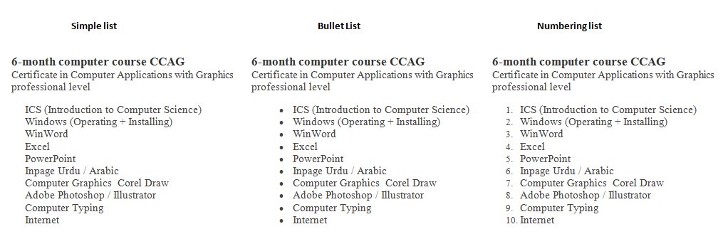 bullet and numbering list example