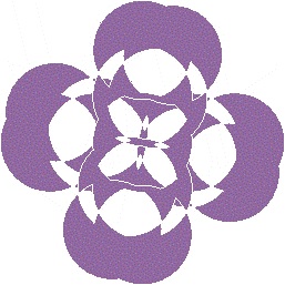cdr design5