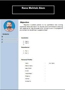 cv1 template